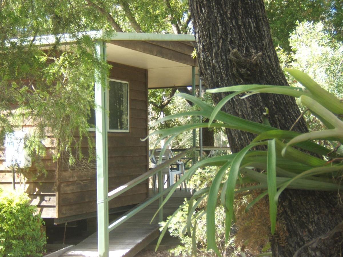 Aratula Scenic Rim Motel מראה חיצוני תמונה